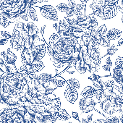 Vintage vector seamless pattern with garden roses in blue on a white background.