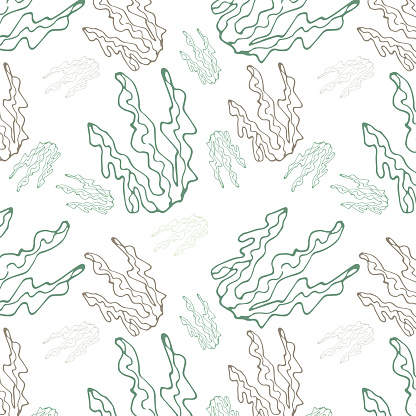 Seamless pattern with sea plants