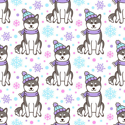 Seamless pattern with Siberian Husky dog in hat and scarf with snowflakes, on white background. Excellent design for packaging, wrapping paper, textile etc.