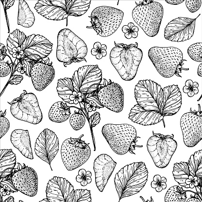 Seamless pattern with strawberries, leaves and strawberry flowers. Hand drawn sketch. Black and white style illustration. Vector illustration.