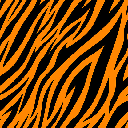 Seamless Pattern With Tiger Stripes Stock Illustration - Download Image ...