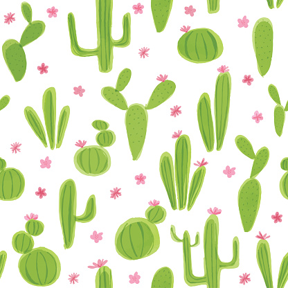 Seamless Pattern with Watercolor Cactus Plants. Variety of different types of cactus, hand drawn
