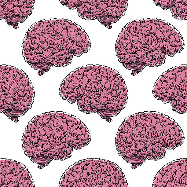 seamless realistic brain beautiful seamless pattern of realistic brain. hand-drawn illustration brain designs stock illustrations