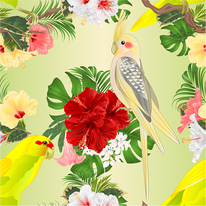 Seamless texture corella and yellow cockatiel  tropical bird   parrot watercolor style and tropicel flowers hibiscus, orchid cymbidium vintage vector illustration editable