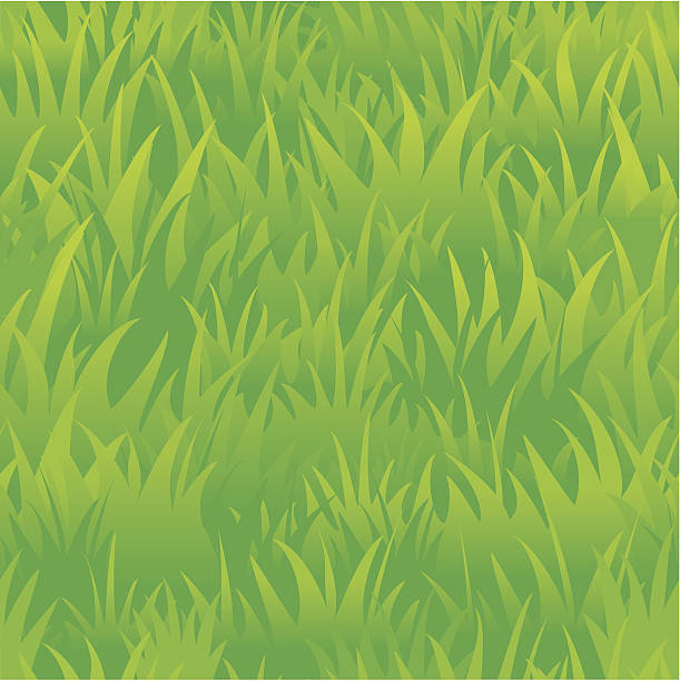 Seamless texture of a grass Vector image of a grass grass patterns stock illustrations