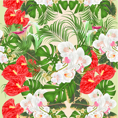 Seamless texture  tropical flowers  floral arrangement, with beautiful white orchids lili anthurium cala palm,philodendron  vintage vector illustration  editable