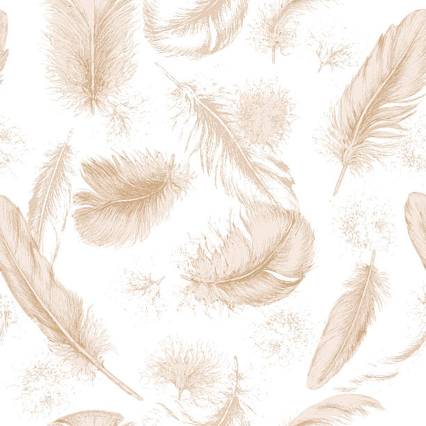 Seamless texture with hand drawn feathers. Hand drawn set of various feathers. Seamless background with flying beige feathers. bristle animal part stock illustrations
