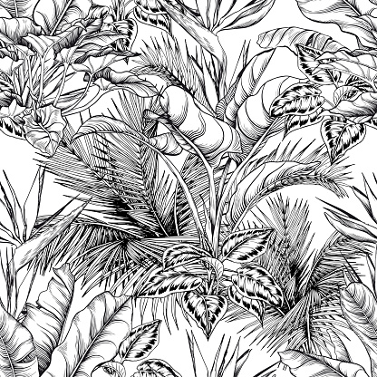 Seamless tropical pattern with black and white sketchy palm leaves.