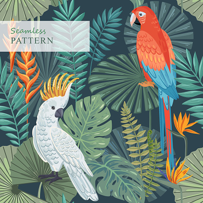 Seamless tropical pattern with cockatoo, macaw parrot and exotic plants