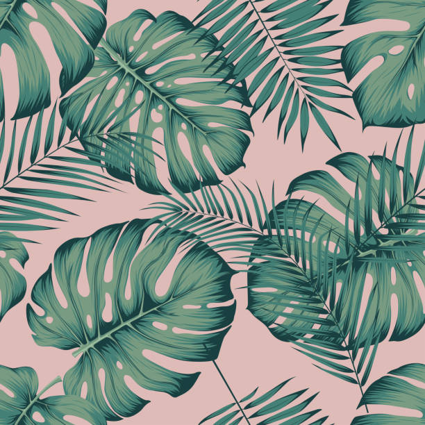 ピンクの背景の葉のモンステラとビンロウジュのヤシの葉でシームレスな熱帯パターン - トロピカル柄点のイラスト素材／クリップアート素材／マンガ素材／アイコン素材