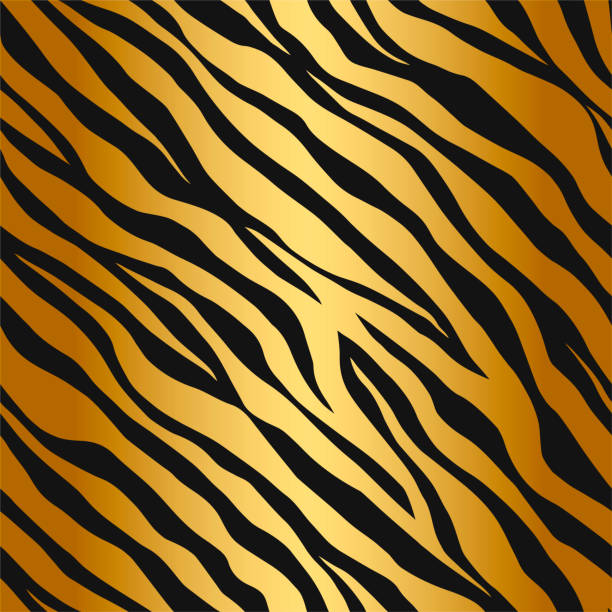 シームレスベクトルブラックとゴールデンタイガーストライプパターン。スタイリッシュな野生の虎の毛皮。生地、織物、デザイン、ラッピング、カバーのための動物のプリントの背景。 - ベンガルトラ点のイラスト素材／クリップアート素材／マンガ素材／アイコン素材