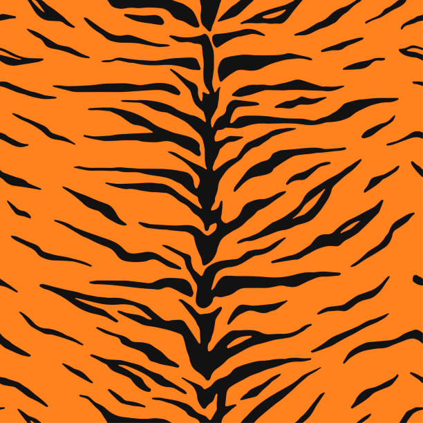 Tiger Skin Illustrations, Royalty-Free Vector Graphics & Clip Art - iStock