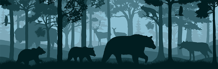 seamless vector forest woodland background with bear family, deers, owl, eagle, wolf, bison, lynx and cougar puma