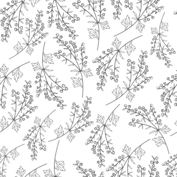 bezszwowy wzór wektorowy artemisia absinthium, piołun ręcznie rysowany szkic atramentu wektorowego izolowany na białym zwany również absyntem absyntowym piołunem, piołunem, piołunem zwyczajnym, roślina absynt - fulham stock illustrations