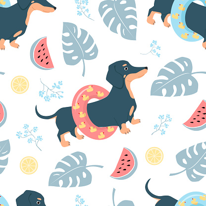 Seamless vector pattern of dog dachshunds, monstera leaves, watermelons, lemons, flowers. For fabrics, wrapping paper, wallpapers.