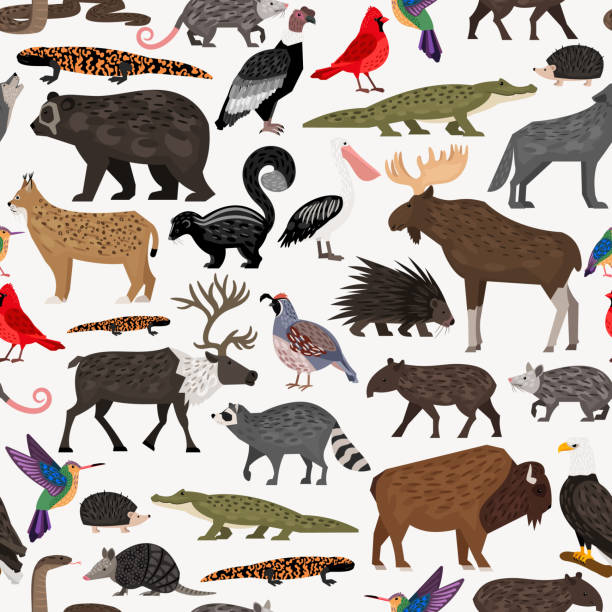 Seamless vector pattern with wild cute animals Seamless pattern with animals of North America gila monster stock illustrations