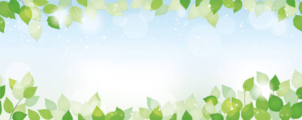 Seamless watercolor fresh green background with text space, vector illustration. Horizontally repeatable. Seamless watercolor fresh green background with text space, vector illustration. Environmentally conscious image with plants, blue sky, and sunlight. Horizontally repeatable. gardening borders stock illustrations