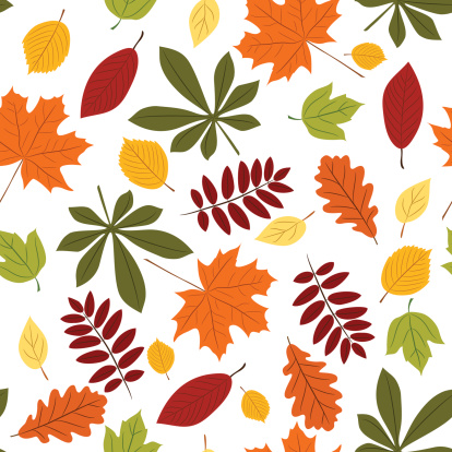 Vector seamless with autumn many-colored leaves. Cartoon style. vector