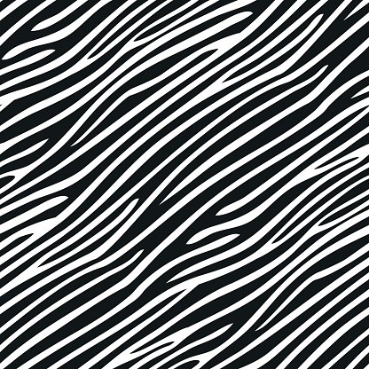 Seamless zebra skin pattern
