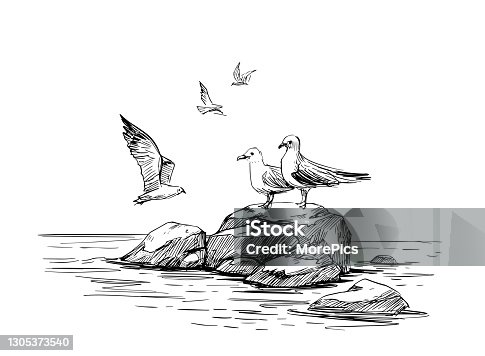 istock Seascape sketch. Sea, rocks, seagulls, landscape. Hand drawn illustration converted to vector. Black outline on transparent background 1305373540