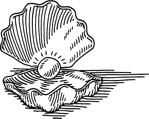 seashell pearl drawing - 運氣 插圖 幅插畫檔、美工圖案、卡通及圖標