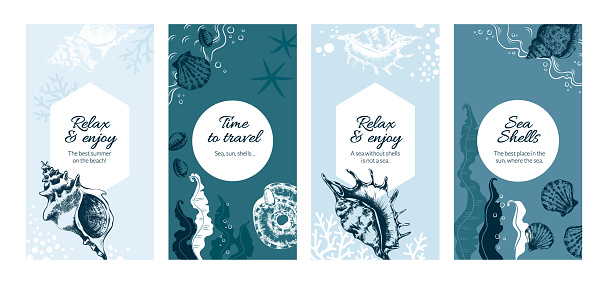 Seashell posters. Hand drawn underwater cockleshells or algae. Banners about rest by sea. Decorative spiral conches and seaweed. Short phrases written in calligraphic font, vector set
