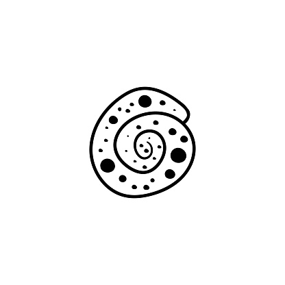 seashell spiral nautilus doodle. Black and white coloring. Cute monochrome print for printing on fabric, paper, wallpaper, packaging. Summer goods. Vector illustrations, drawings