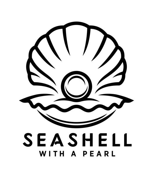 seashell with pearl outline icon Pearl in sea shell vector icon. Outline silhouette of open seashell with a pearl inside. pearl jewelry stock illustrations