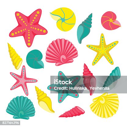 istock Seashells set. design for holiday greeting card and invitation of seasonal summer holidays, summer beach parties, tourism and travel 827164296