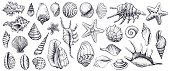 istock Seashells vector set. Hand drawn illustrations. 670377514