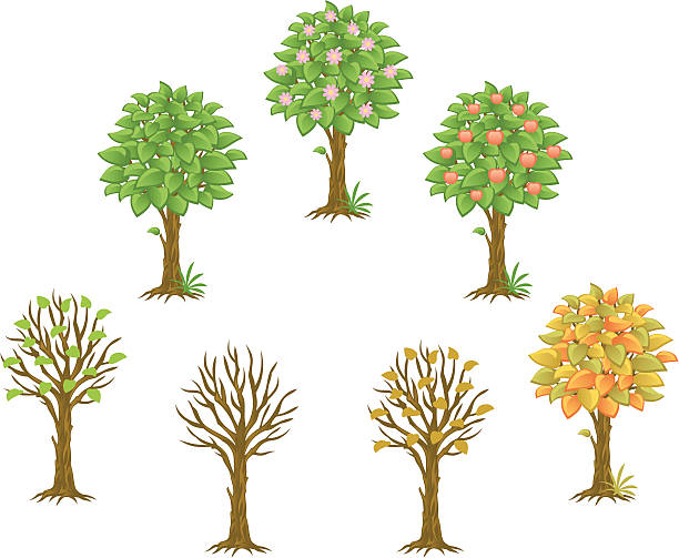 royalty free dead plant clip vector images
