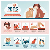 Seasonal pet safety tips infographic with icons: how to protect your pet from heat and cold in summer and winter