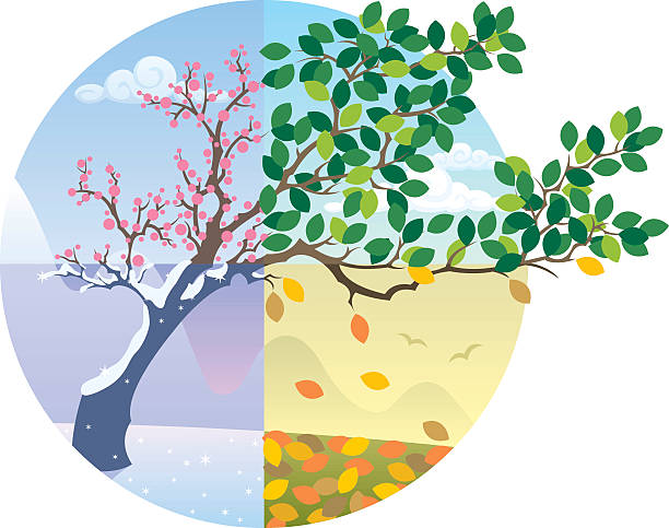 Seasons Cycle Cartoon illustration representing the cycle of the four seasons. landscape scenery clipart stock illustrations