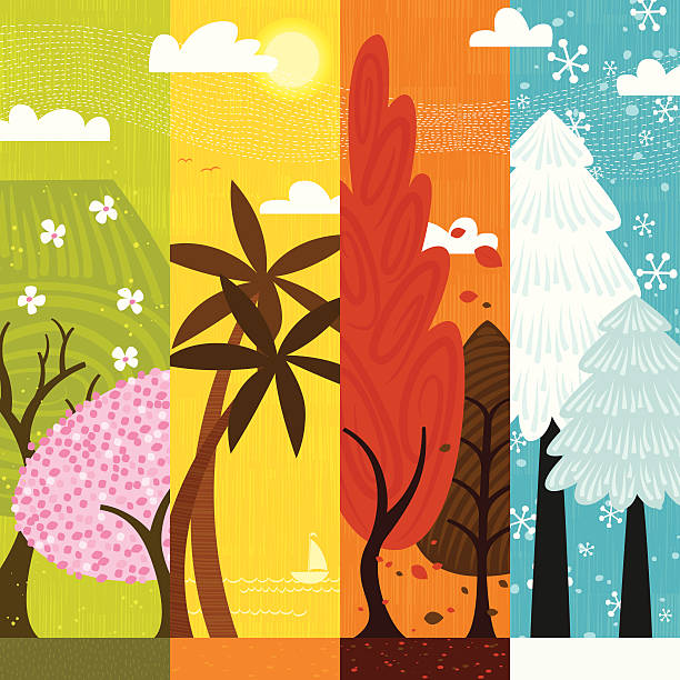 seasons vector art illustration