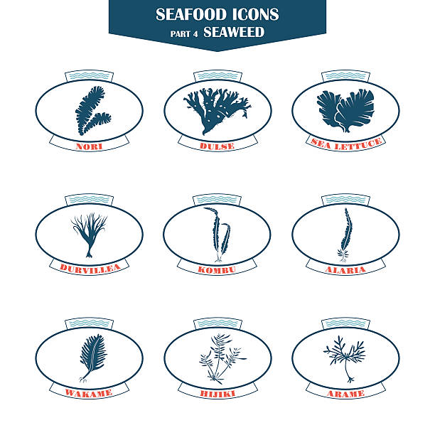 Seaweed icons set Seafood icons. seaweed icons. Can be used for restaurants, menu design, internet pages design, in the fishing industry, commercial green algae stock illustrations