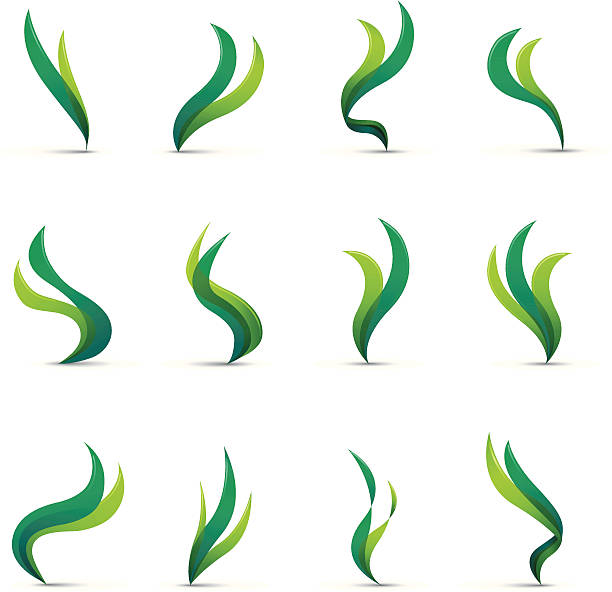 Seaweed http://www.cumulocreative.com/istock/File Types.jpg wispy stock illustrations