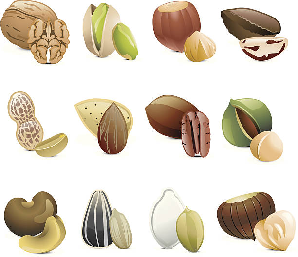 bildbanksillustrationer, clip art samt tecknat material och ikoner med seeds & nuts - pistagenötter