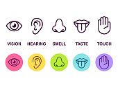 Icon set of five human senses: vision (eye), smell (nose), hearing (ear), touch (hand), taste (mouth with tongue). Simple line icons and color circles, vector illustration.