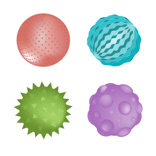 Sensory ball set of different colors and textures isolated on white. Vector illustration. Kids toys or sensory rooms equipment element Sensory ball set of different colors and textures isolated on white. Vector illustration. Baby kids toy or sensory rooms equipment element spiked stock illustrations