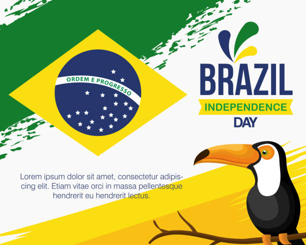 9월 7일, 브라질 독립기념일 을 토칸으로 기념하는 현수막 - progress pride flag stock illustrations
