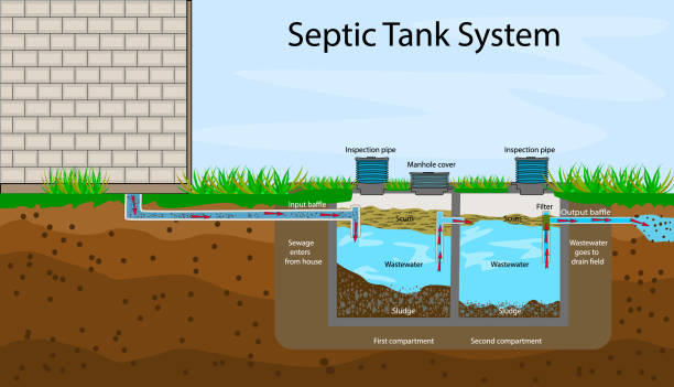 Septic Tank diagram. Septic system and drain field scheme. An underground septic tank illustration. Infographic with text descriptions of a Septic Tank. Domestic wastewater. Flat stock vector illustration invertebrate stock illustrations