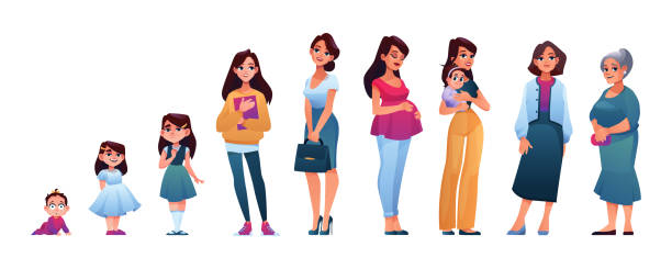 Sequences of woman life stages isolated. Vector female age, character of woman in different periods of growing up. Vector baby, child, teenager adult and mature person, elderly lady on retirement Sequences of woman life stages isolated. Vector female age, character of woman in different periods of growing up. Vector baby, child, teenager adult and mature person, elderly lady on retirement baby human age stock illustrations