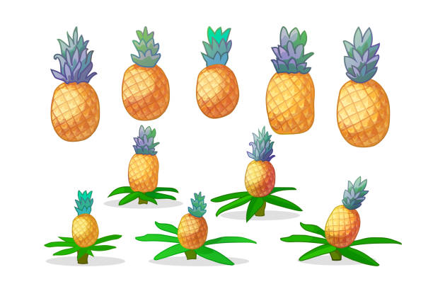 reihe von cartoon pflanzen 038 - pineapple plantation stock-grafiken, -clipart, -cartoons und -symbole