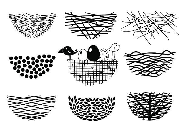 Set bird nests icons Set icons Bird's Nest for a logo or emblem in the technique of sketching. Vector graphics. Two funny birds and eggs. animal nest stock illustrations