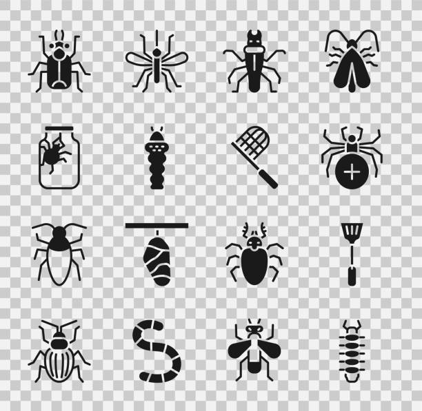 stockillustraties, clipart, cartoons en iconen met set centipede, fly swatter, spider, termite, larva insect, jar, beetle bug and butterfly net icon. vector - vliegenmepper