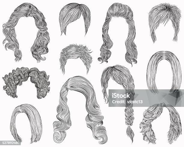 Hair Free Vector Art 6 304 Free Downloads