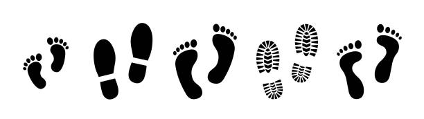 ilustrações de stock, clip art, desenhos animados e ícones de set different human footprints. baby footprint - stock vector. - pes