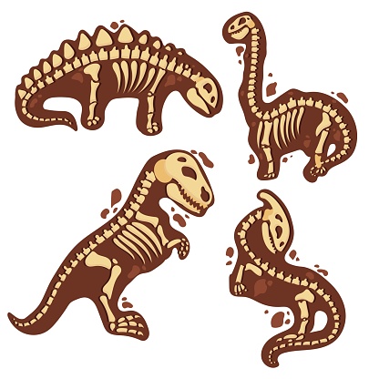 ✓ Imagen de Esqueleto de dinosaurio en estilo de dibujos animados. Los  huesos de un animal prehistórico bajo tierra. arqueología. Ilustración  vectorial aislada sobre fondo blanco. Fotografía de Stock