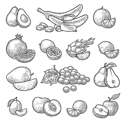 Set fruits. Vector color vintage engraving