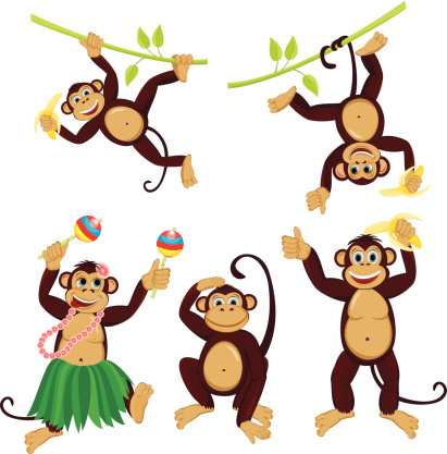 Set funny monkeys